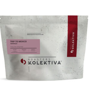 Trip to Mexico #Marago - Roasters Kolektiva