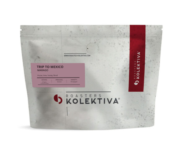 Trip to Mexico #Marago - Roasters Kolektiva